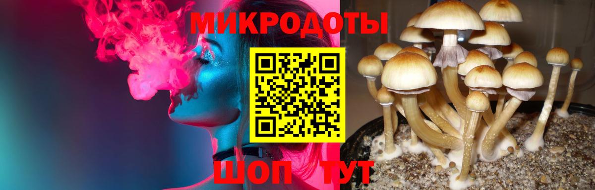 где найти наркотики  Вход с VPN  Назарово  Псилоцибиновые грибы ЛСД 